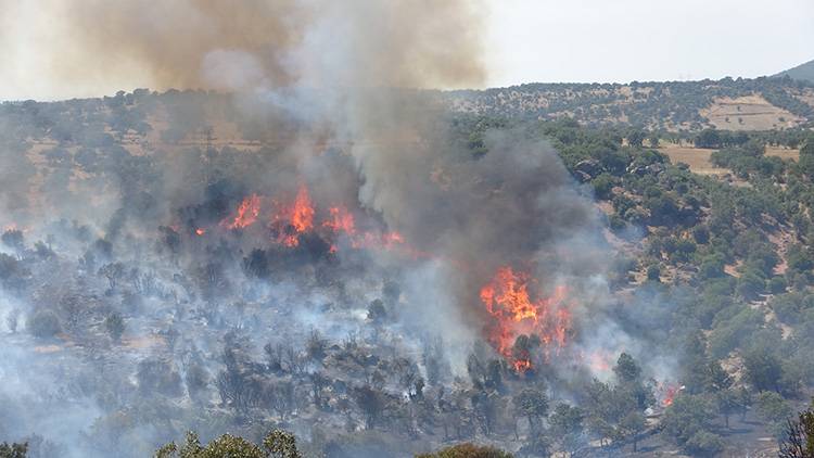 Çanakkale’de yangın kabusu! Hastane, köyler, havalimanı… Hepsi tahliye edildi! 2